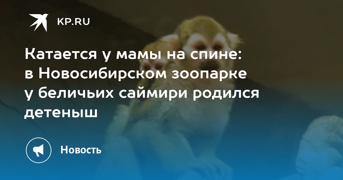 На диаграмме показано сколько детенышей родилось у некоторых зверей