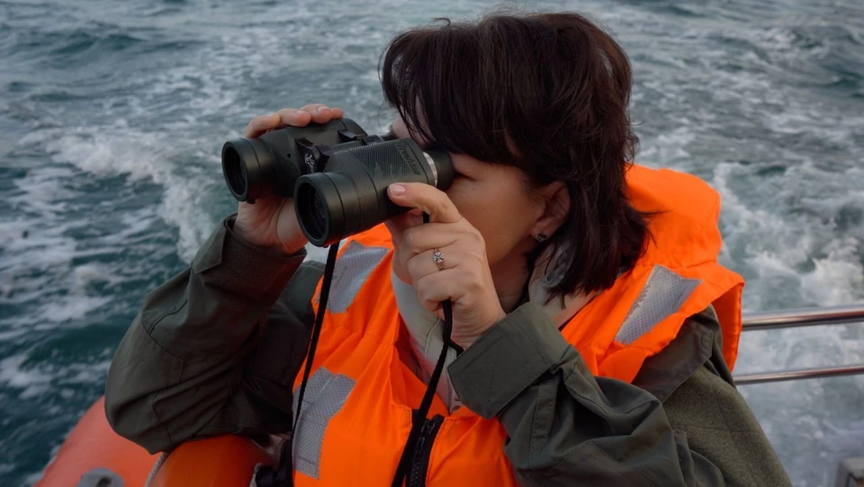 Поиски продолжаются. Фото: sev.tv