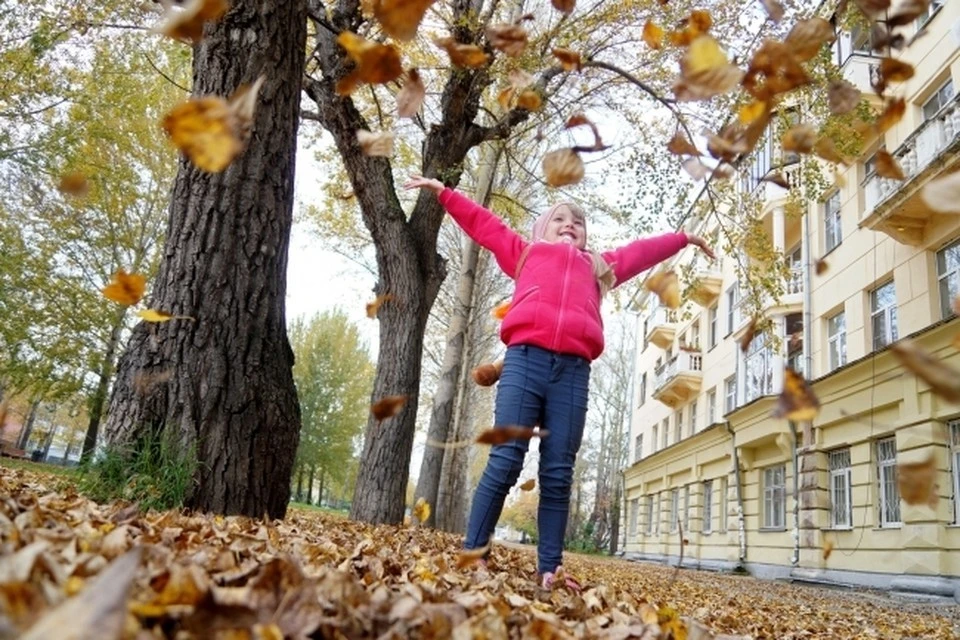 Выходные станут последними теплыми днями в Москве - с начала следующей рабочей недели ожидаются заморозки и снег