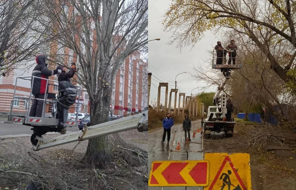 За неделю в городе снесли 80 аварийных деревьев