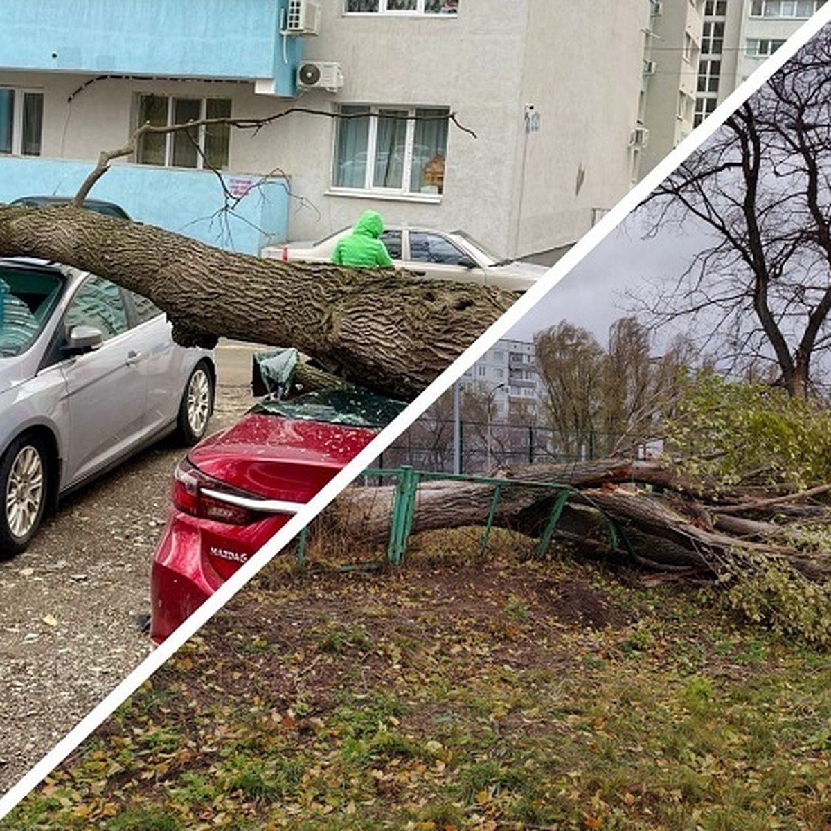 Поваленные деревья, сорванные крыши и помятые авто: что натворил ураган в  Самарской области 13 ноября 2022 года - KP.RU