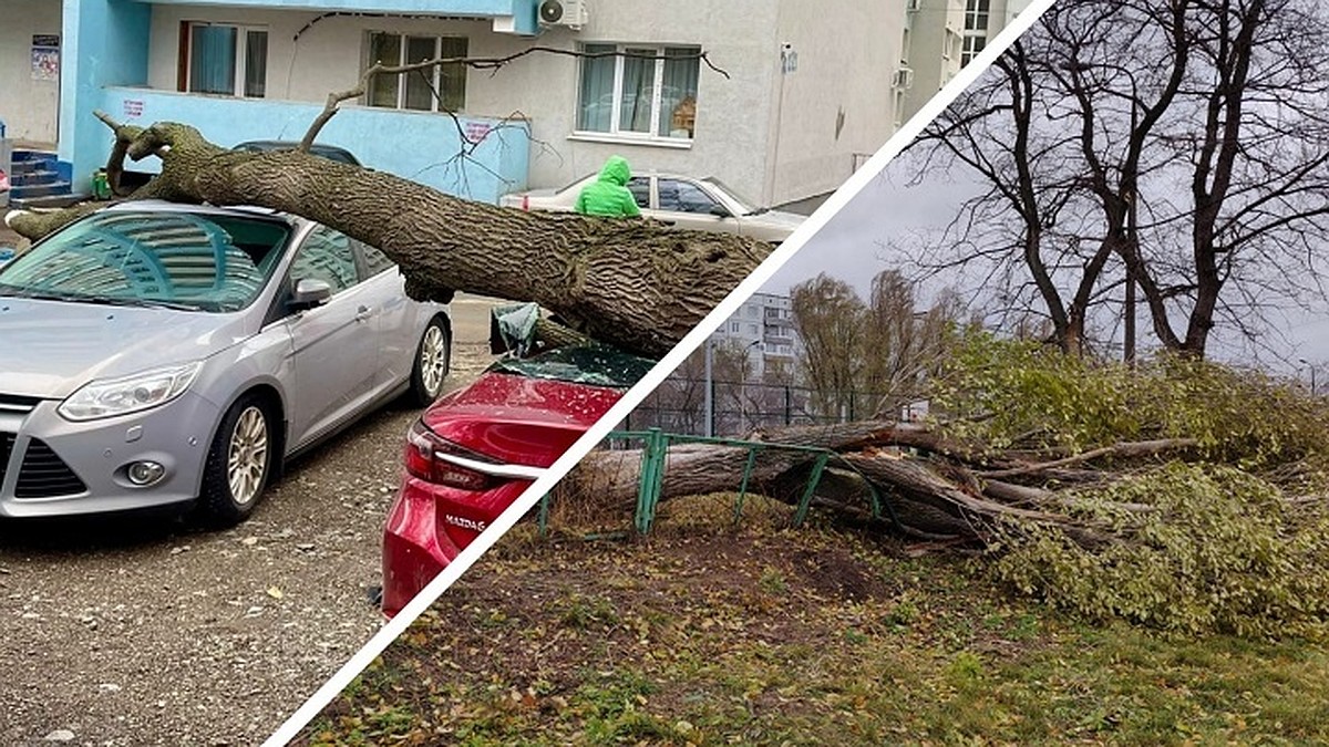 Поваленные деревья, сорванные крыши и помятые авто: что натворил ураган в  Самарской области 13 ноября 2022 года - KP.RU