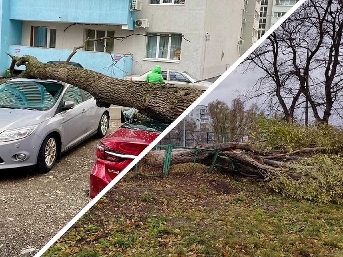 Поваленные деревья, сорванные крыши и помятые авто: что натворил ураган в  Самарской области 13 ноября 2022 года - KP.RU