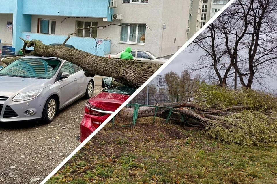 Ураган в Самарской области повалил деревья и сорвал кровли