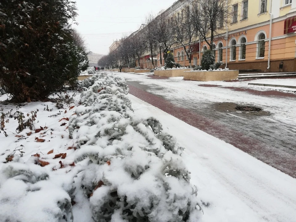 Фото: Ольга Супонева