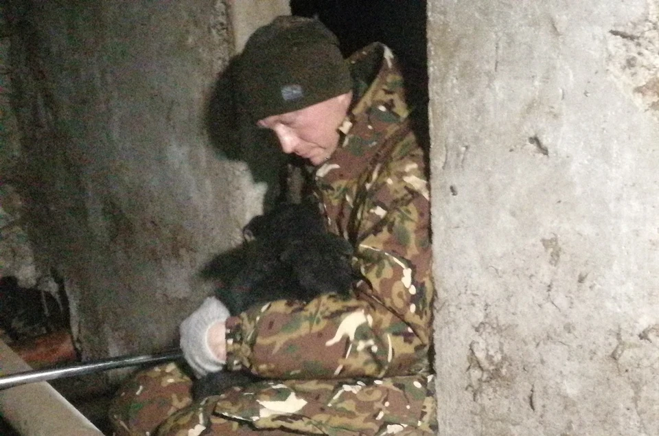 Спасенную из подвала собачью семью отправили на базу временного размещения в п. Козелки / Фото: ООО "ФлагманВет"