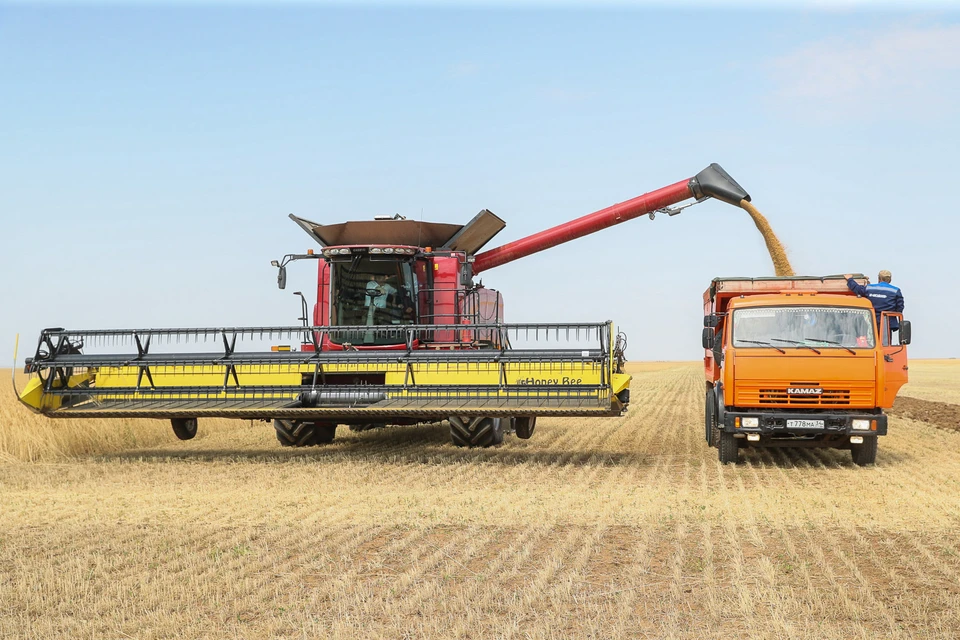 В Волгоградской области собрали рекордный урожай зерна. Фото: Администрация Волгоградской области.