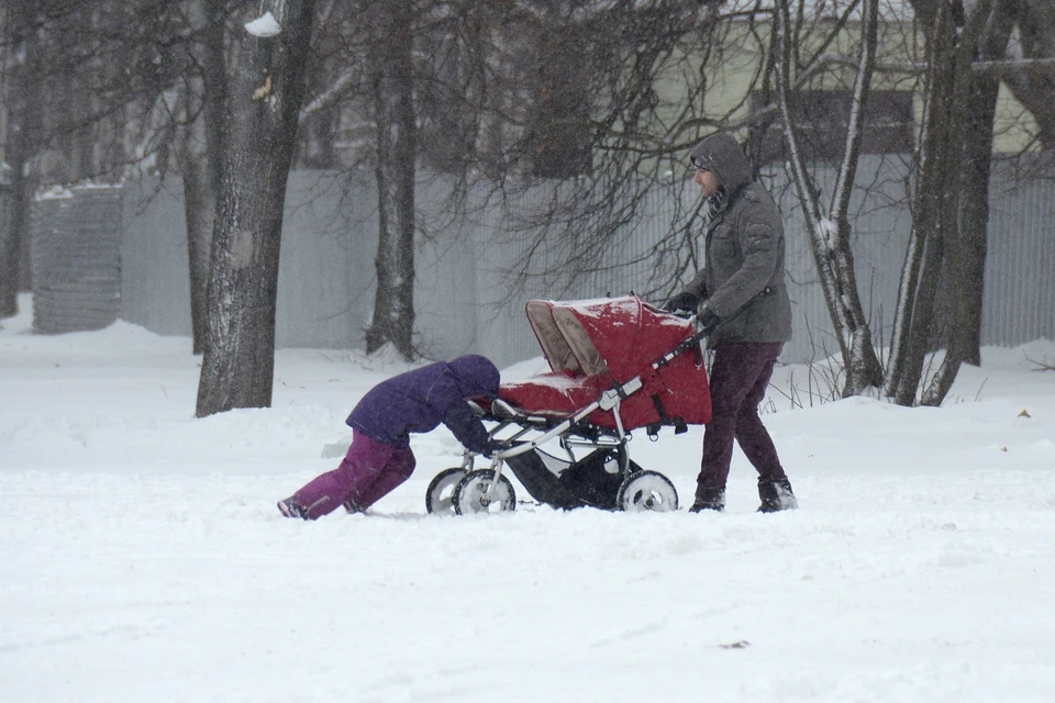 Всего в городе живут 4 034 многодетных семей