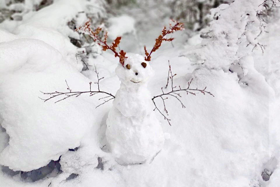 Первый снег в Севастополе может выпасть 21 декабря.