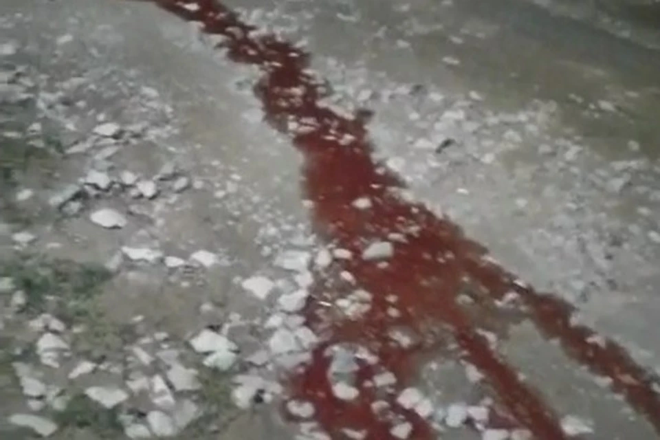 Ручьи, похожие на кровь, растянулись на улице Солнечной Фото: кадр из видео