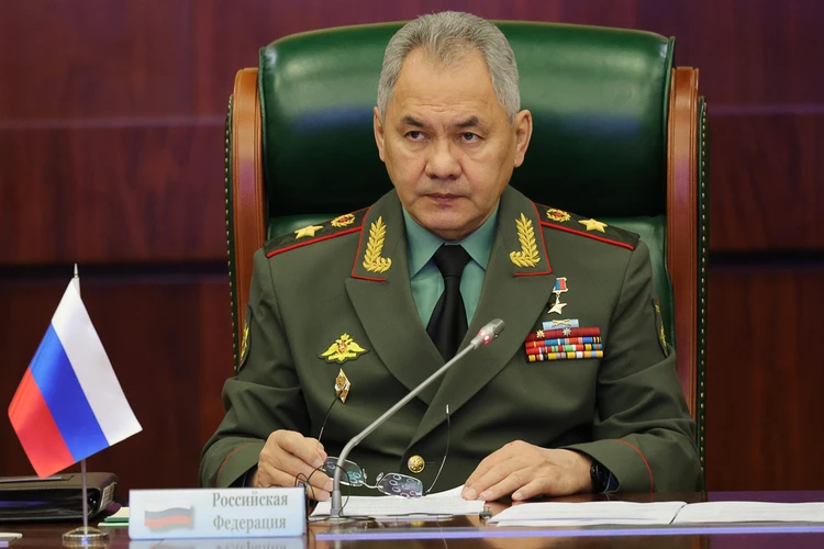 Шойгу: Россия намерена продолжить поставки вооружения Таджикистану