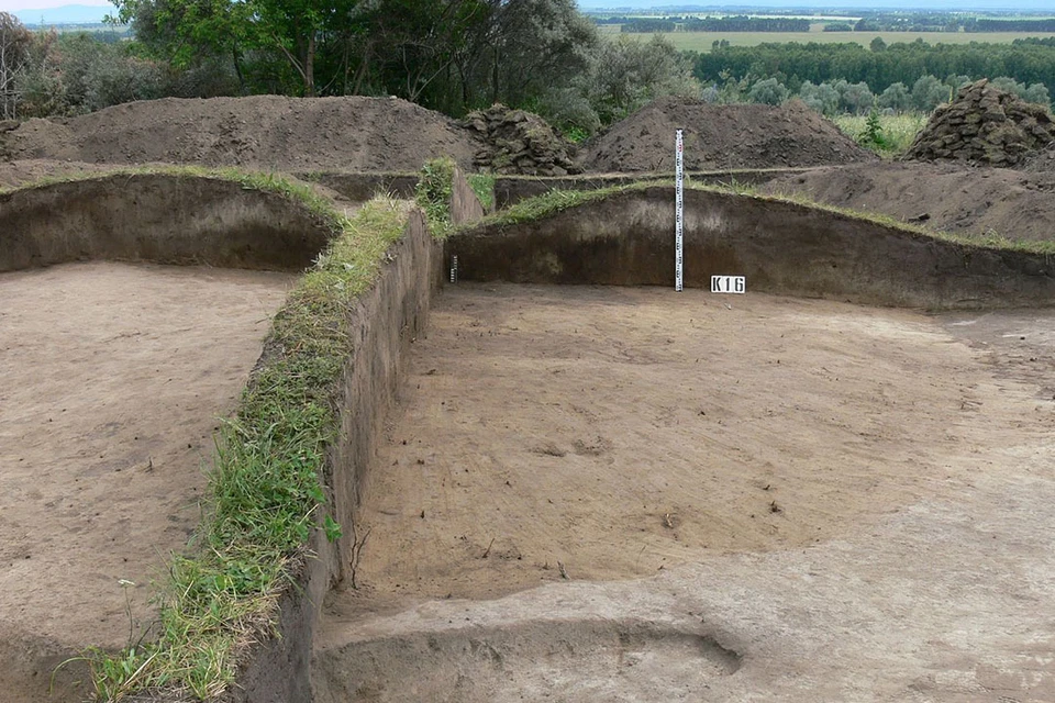 Раскопки кургана. Фото: АлтГУ