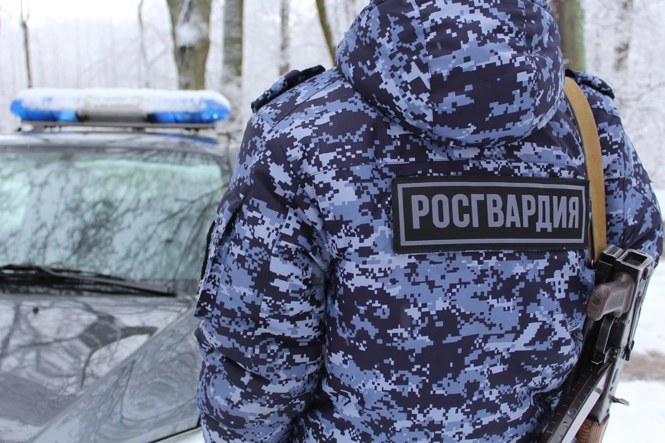 фото Росгвардии по Владимирской области