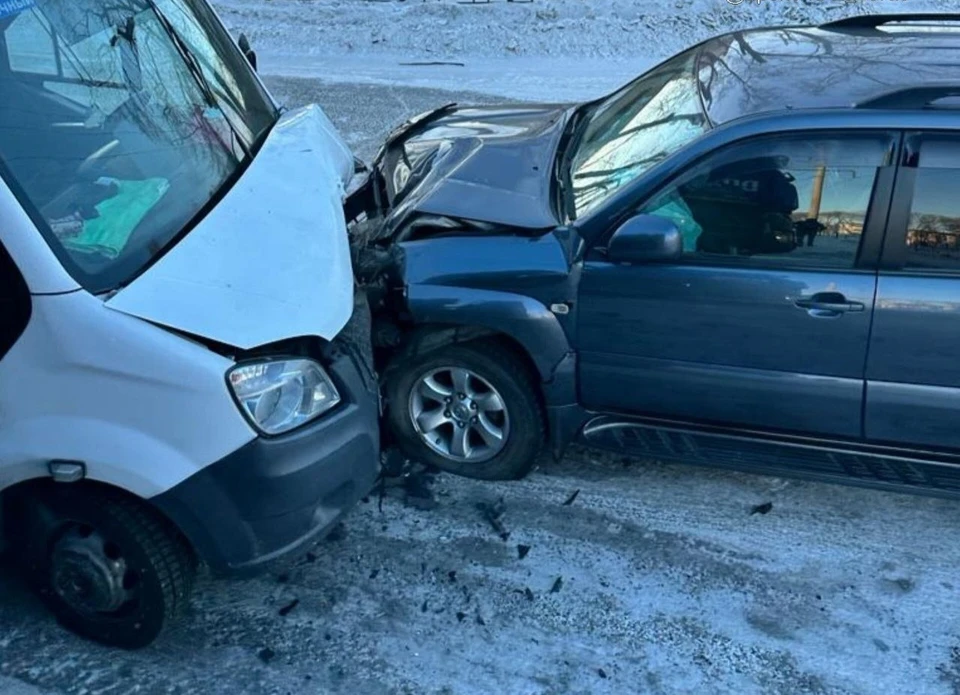 Возможный виновник случившегося - водитель автобуса ПАЗ Фото: соцсети