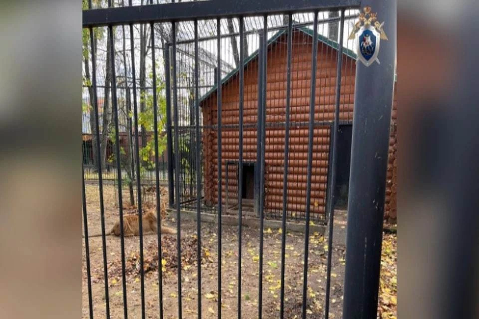 Мужчине грозило до 1 года лишения свободы.