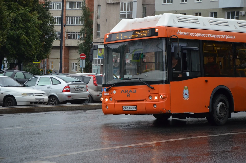 Итоги тестового режима новой маршрутной сети подвели в Нижнем Новгороде