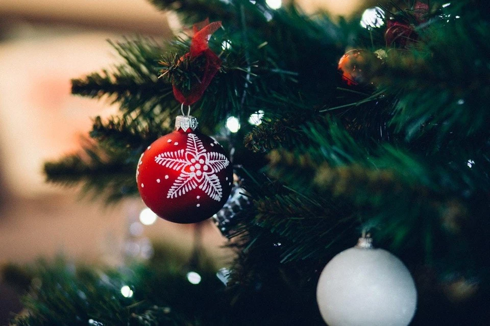 В Тюмени местные жители "раздели" новогоднюю елку. Фото: pexels.com