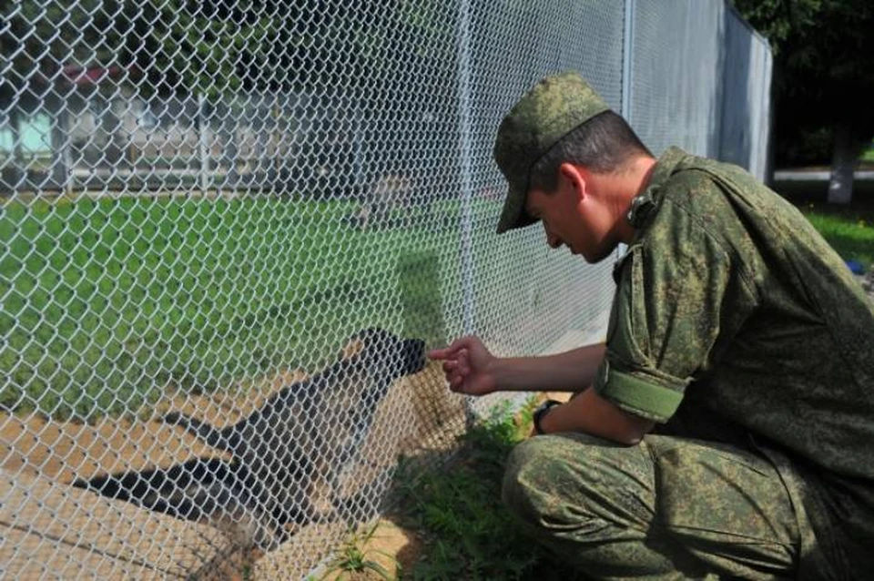 Военные учебные центры появятся в 16 регионах РФ.