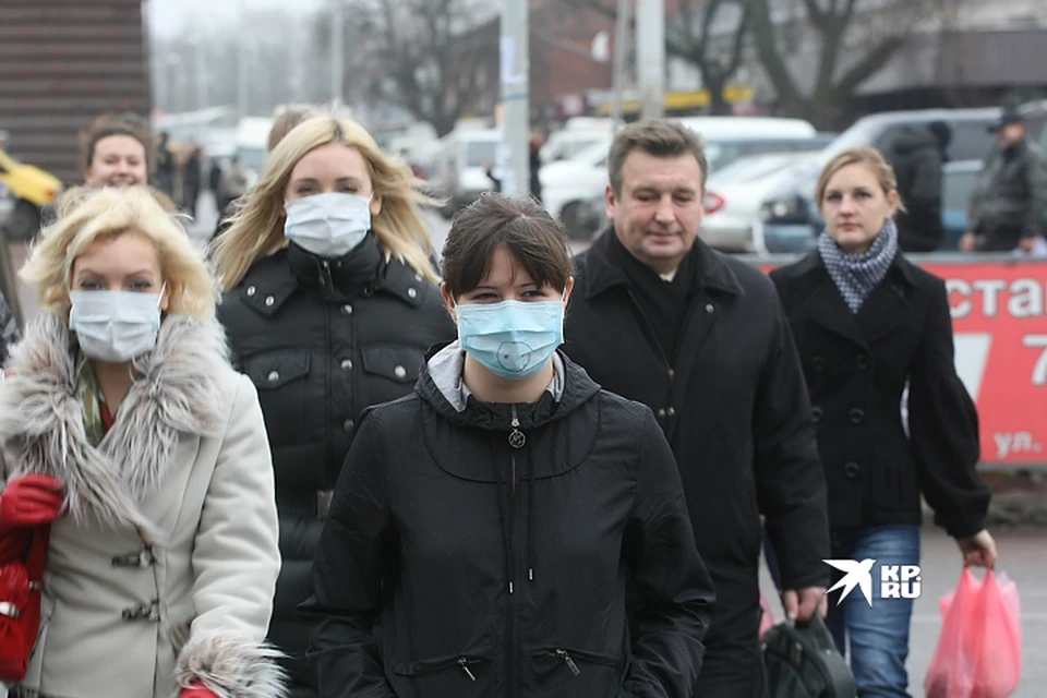 Своё путешествие по миру вирус свиного гриппа начал в 2009 году