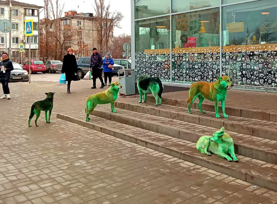 "Гринчи" снова появились на улицах Кировского. Фото: Елена Алексеева.
