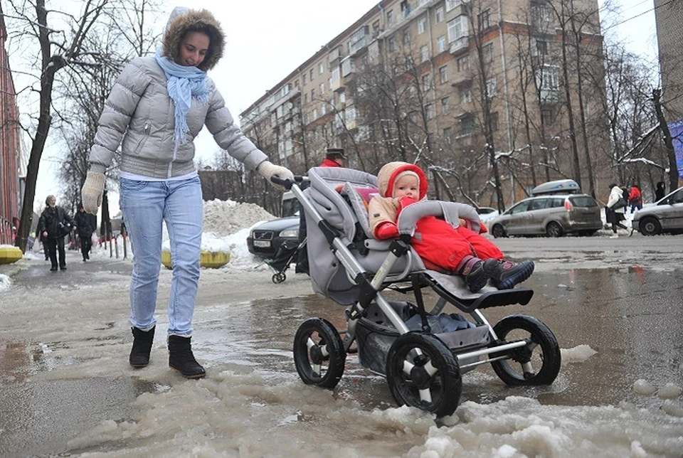В Ярославле 2 января ожидается мокрый снег.