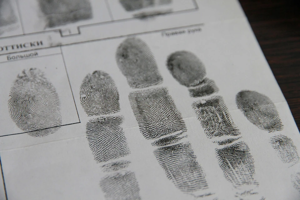 отпечатки пальцев в криминалистике. отпечаток пальца криминалистика. дактилоскопическая регистрация. осмотр места происшествия. отпечатки пальцев на месте преступления.