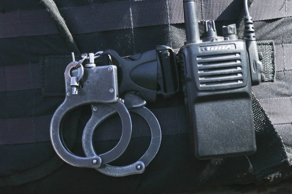 Подозреваемого поместили под стражу