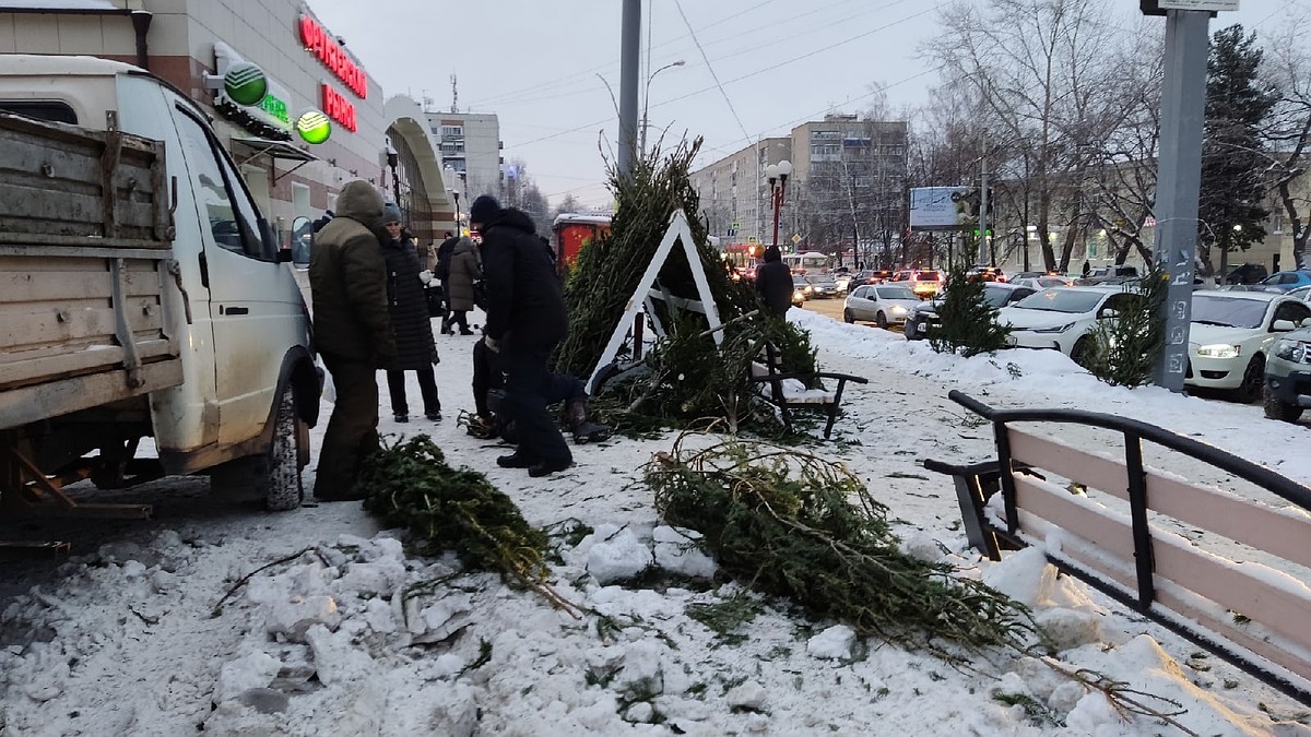 Жители Томска могут сдать новогодние елки на корм коровам - KP.RU