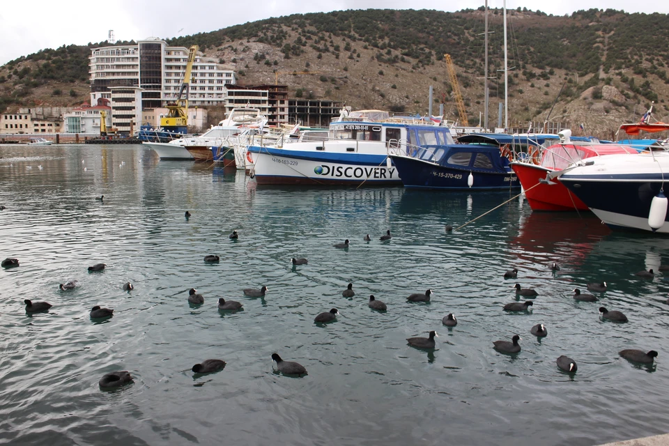 евпатория климат по месяцам. облачность в декабре 2022. погода на год. прогноз погоды на зиму 2022-2023. какая погода летом.