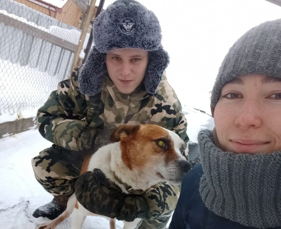 Истощенного пса нашли в Колпашевском районе Томской области. Фото предоставлено героем публикации