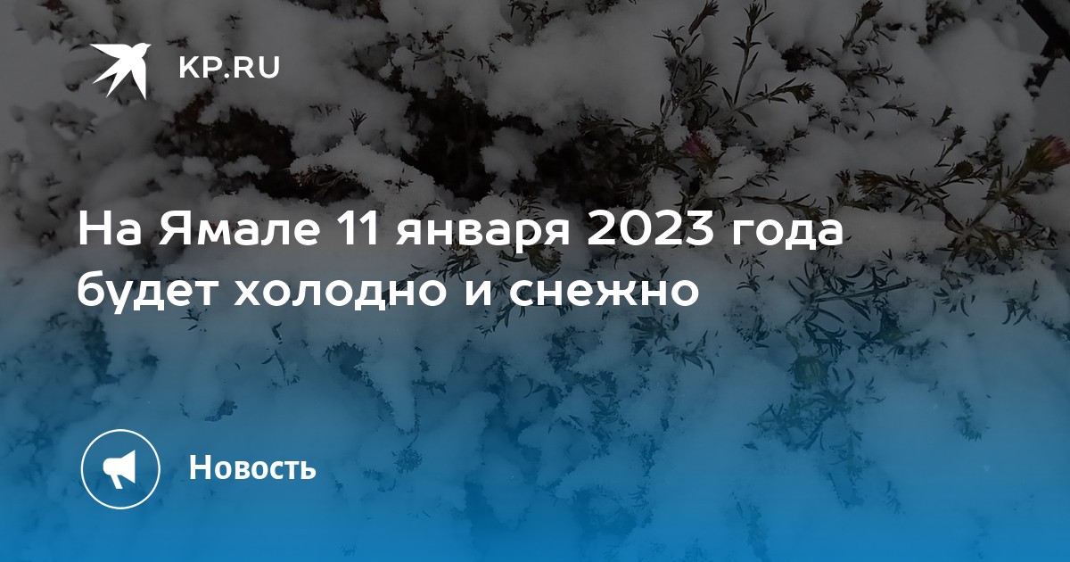 11 января 2023 какой. Народный календарь 11 января страшный день. 11 января 2023 какой. День спасибо презентация. Международный день спа.