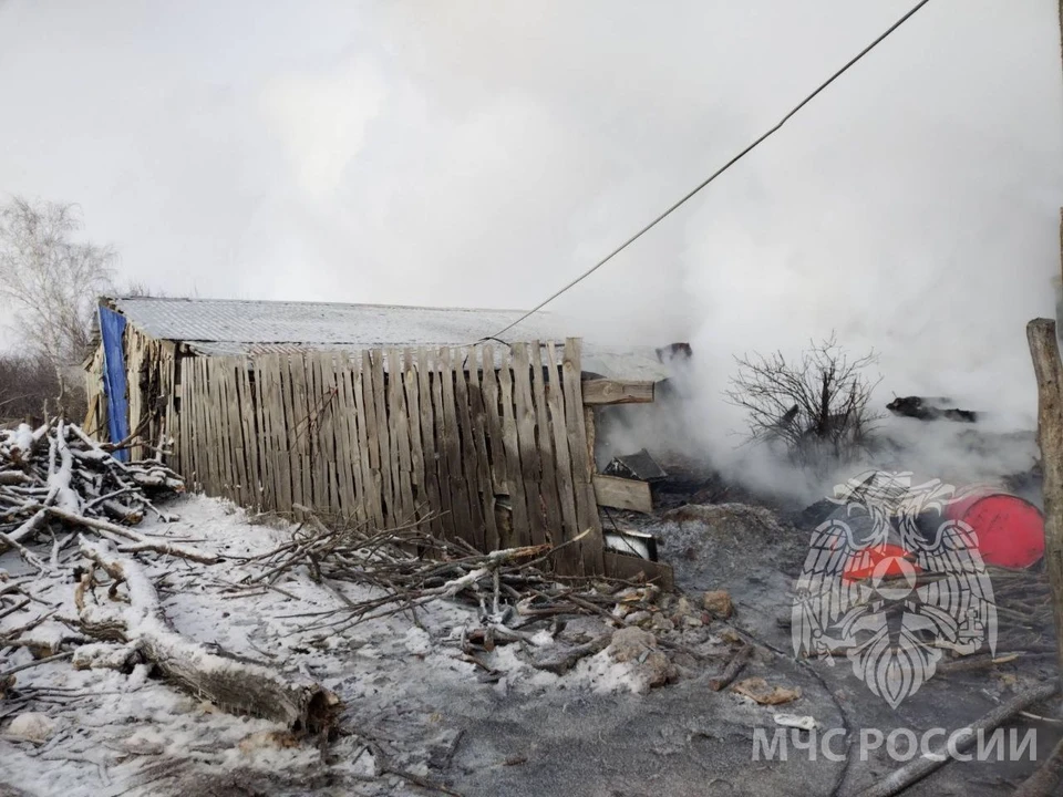 Фото: ГУ МЧС по Саратовской области