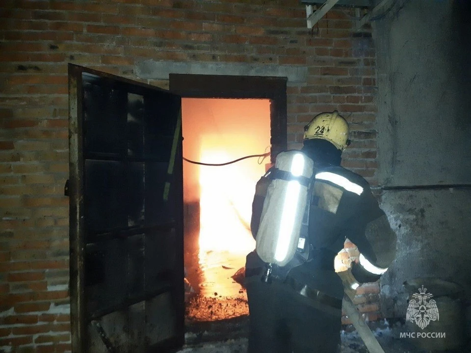 Фото: ГУ МЧС по Омской области