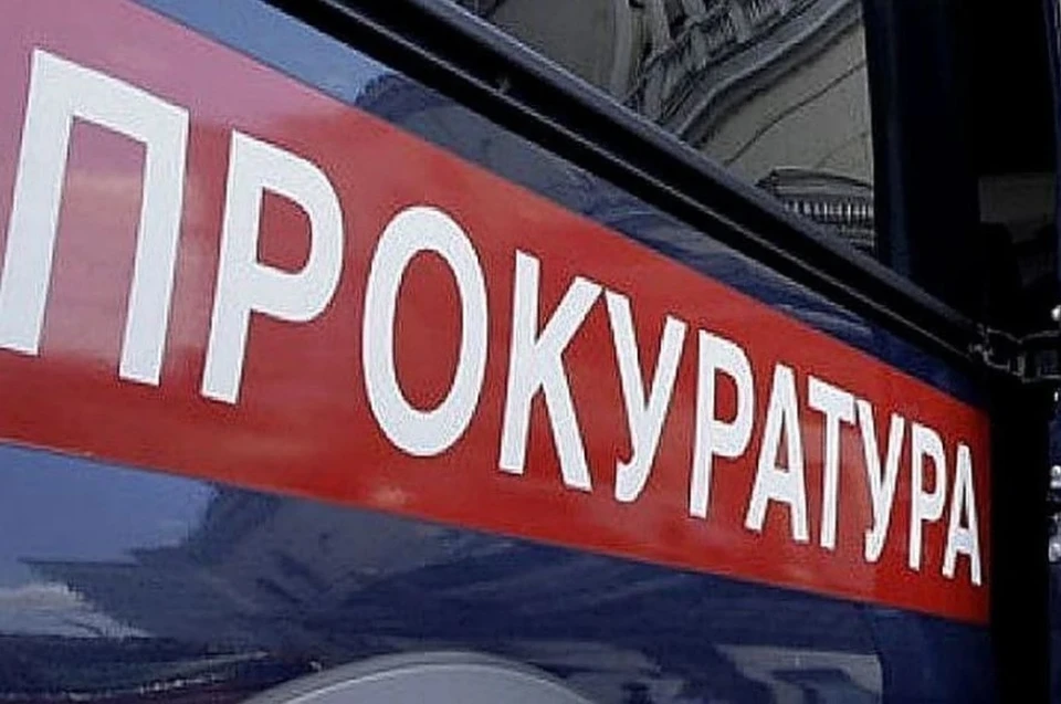 Прокуратура Подмосковья начала проверку по факту нападения на ребёнка бродячих собак