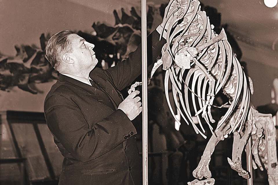 Ефремов был не только писателем, но и серьезным ученым-палеонтологом. Фото: А. Воротынский/РИА Новости