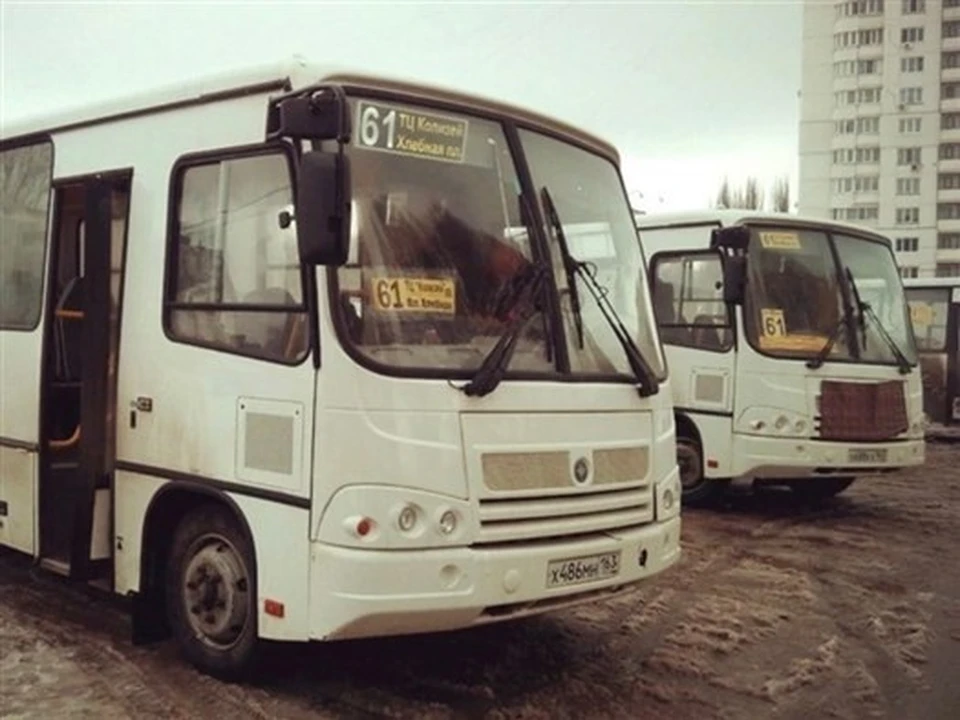 Автобусы будут перевозить тех, кто решит окунуться в проруби на Волге