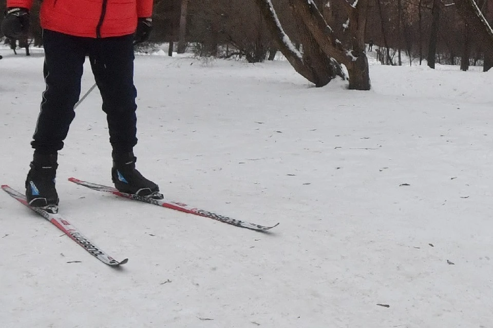 Мужчина сделал страшную находку, когда сошел с лыжни в поисках своей собаки.