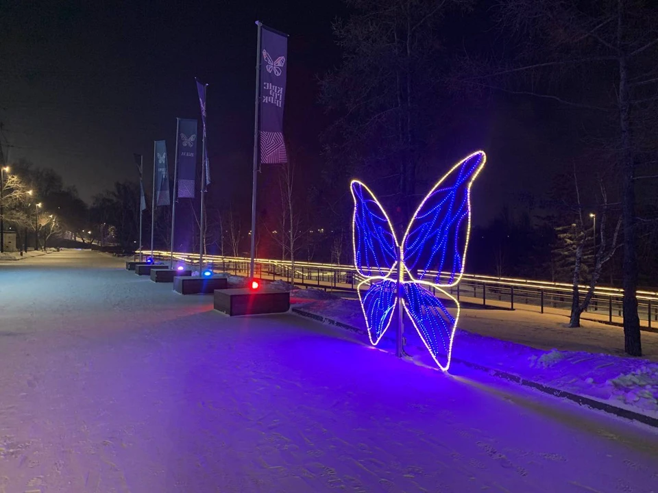 В Красноярске на Центральной набережной установили арт-объект в виде бабочки. Фото: t.me/adm_krasnoyarsk