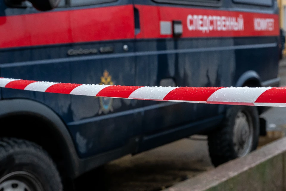 В СК Московской области возбудили уголовное дело по статье «Причинение смерти по неосторожности». Назначены экспертизы.