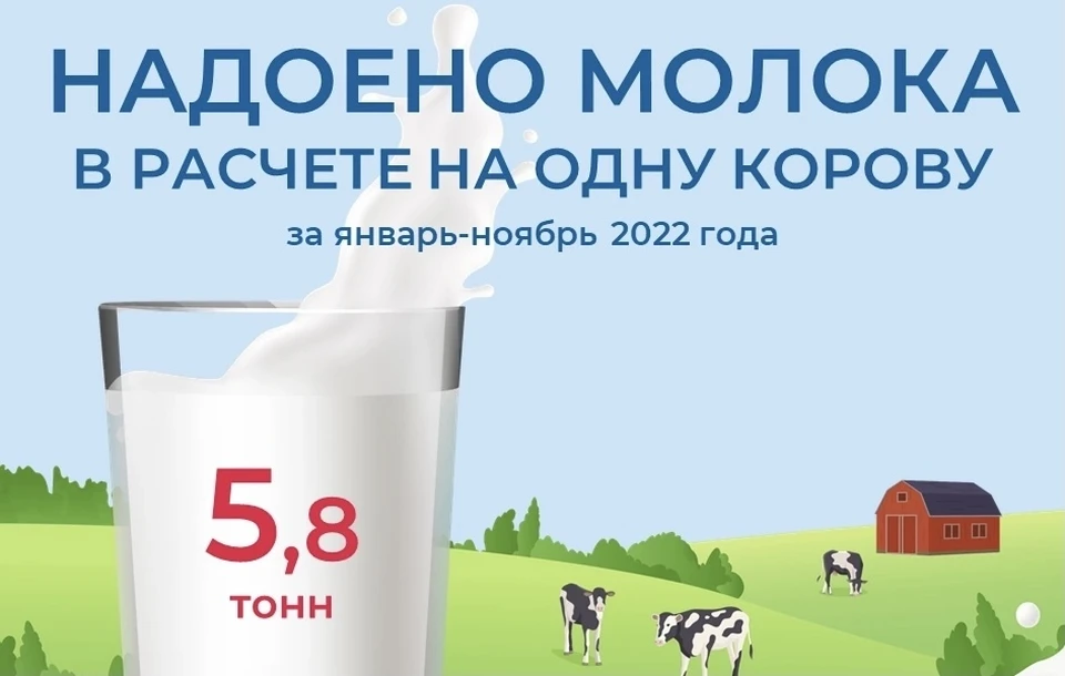 Надои в расчёте на одну корову в Тверской области. Графика: Тверьстат