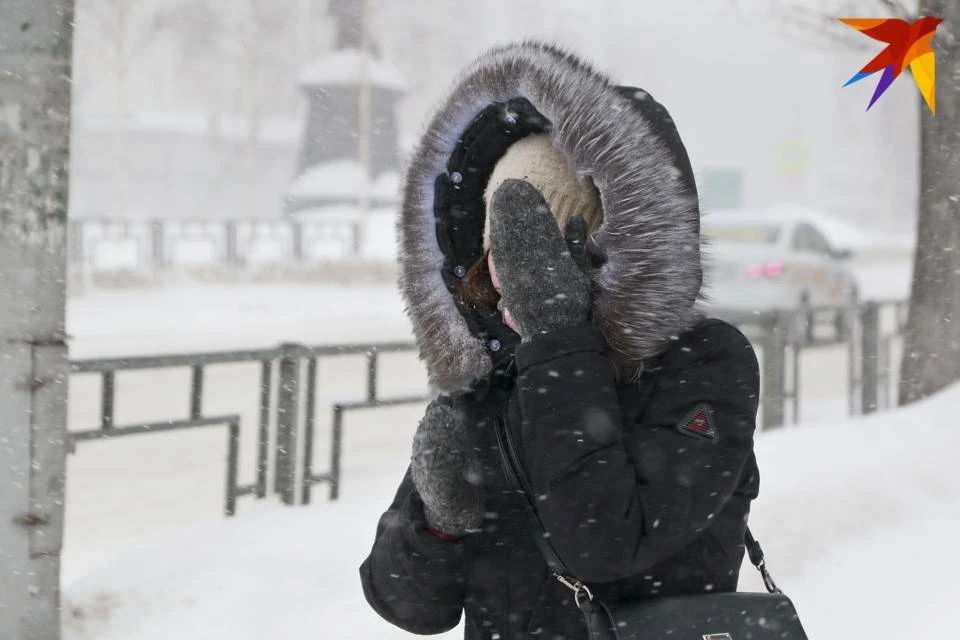 23 января в Мурманской области ожидается усиление ветра.