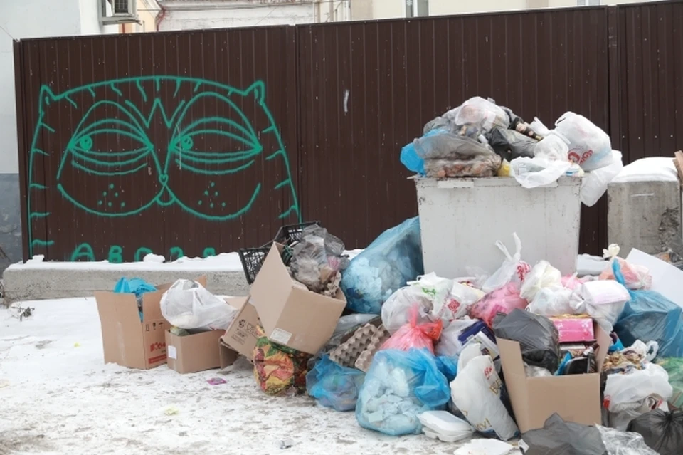 В Казани в данное время стоит остро проблема размещения отходов.