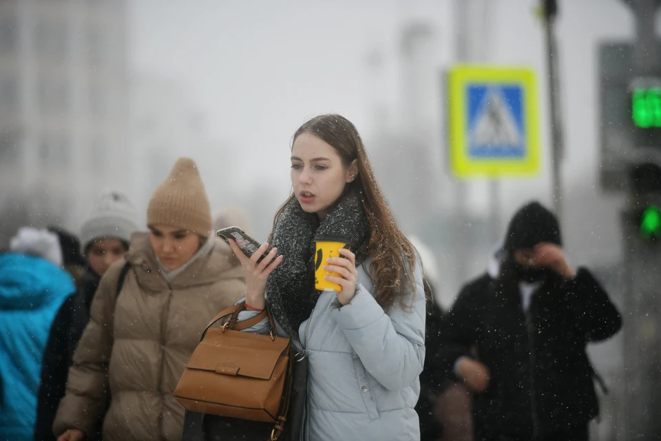 В Новосибирске будет мягкая зима.