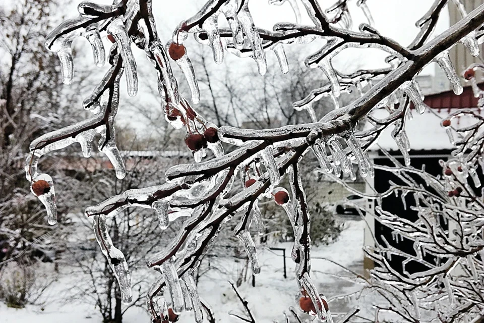 Синоптик Тишковец пообещал 26 января 2023 года в Московском регионе мокрый снег и ледяной дождь