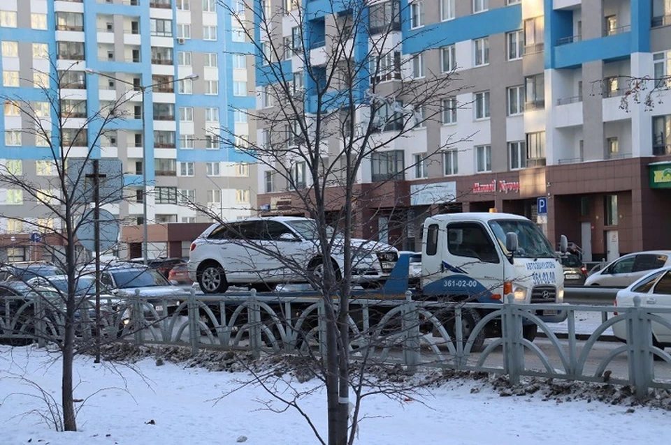 Фото: пресс-служба администрации Академического района