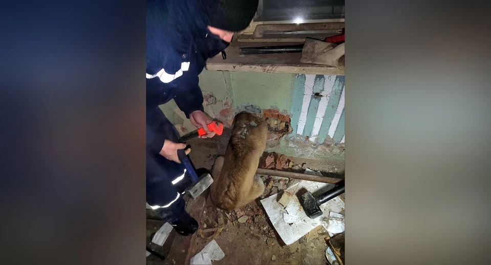 Фото: СПАС Коми