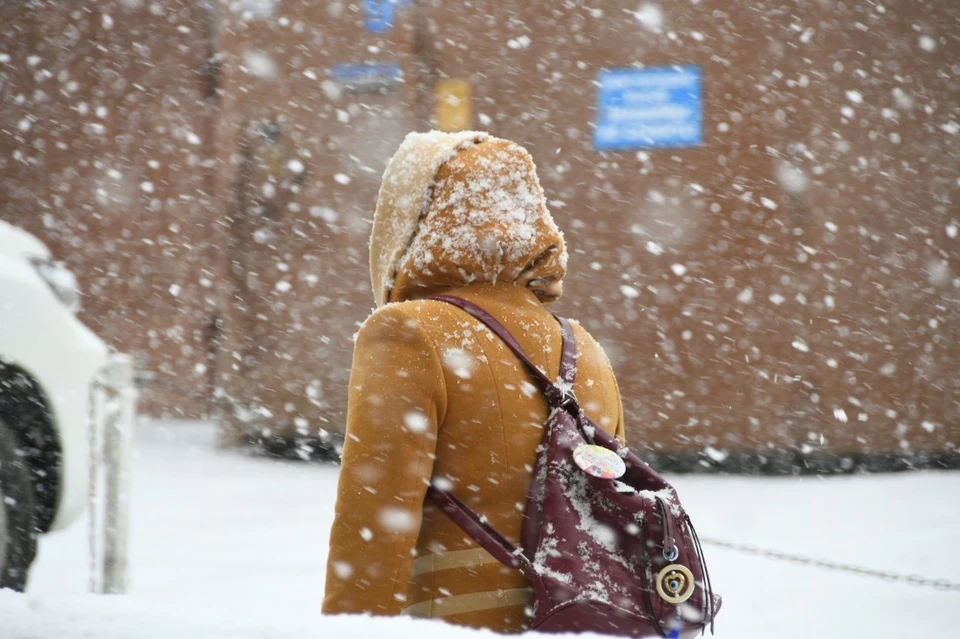 Погода в Туле: в последний день января пройдет небольшой снег