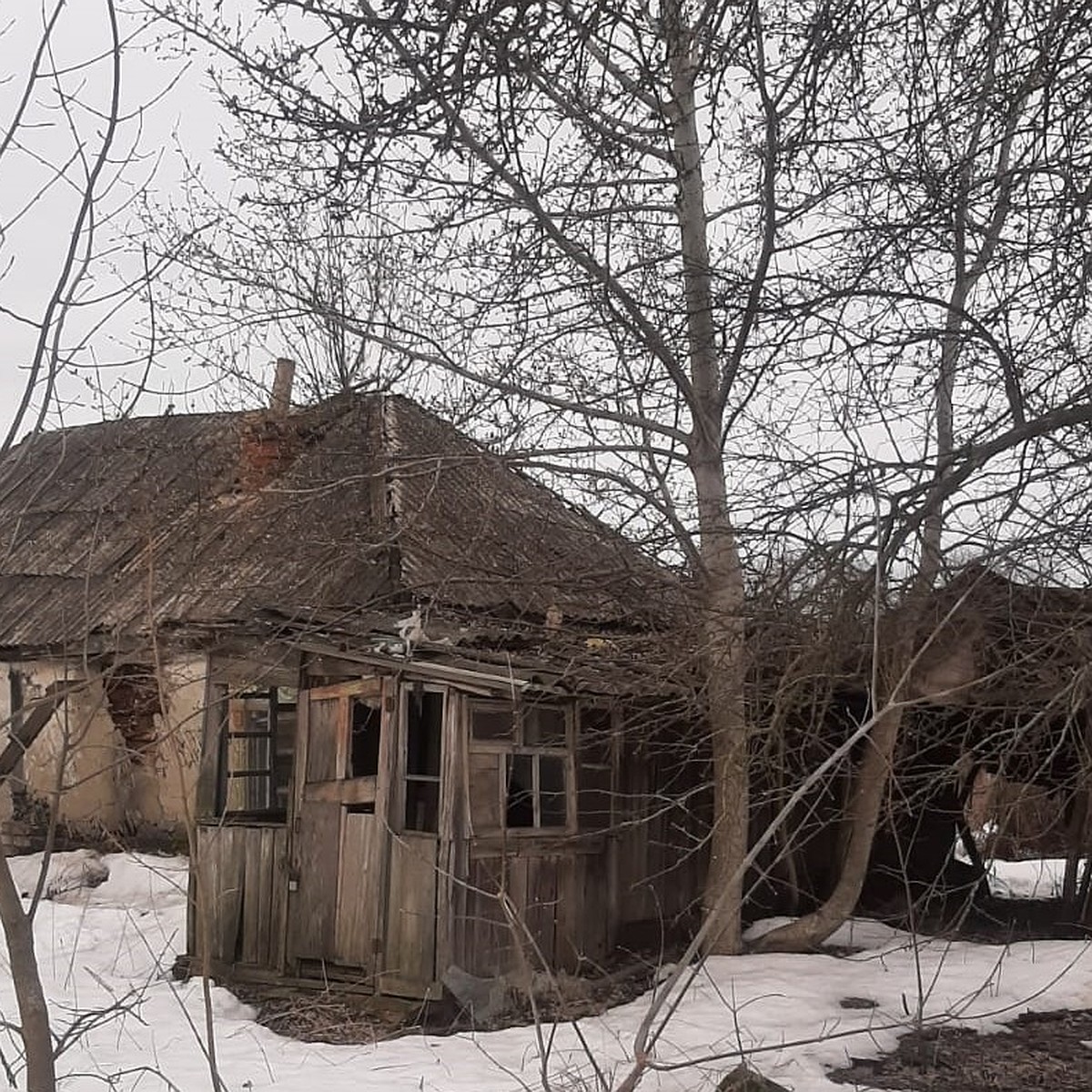 Есенина на них нет: чиновники превратили имя великого поэта в синоним  запретов и бесправия для его земляков - KP.RU