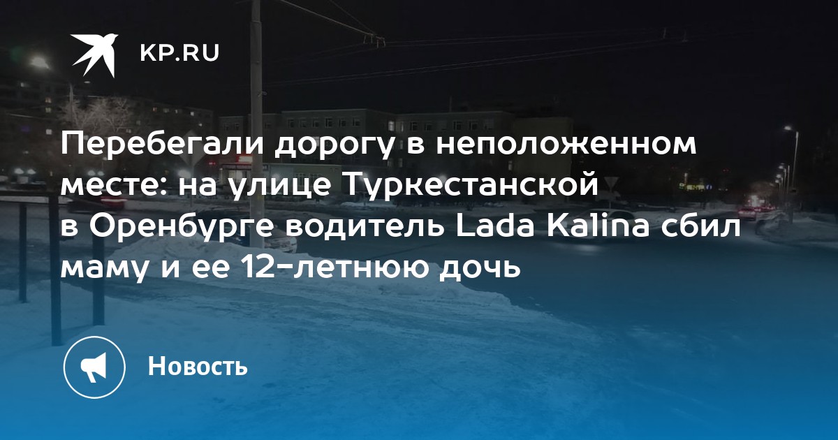 Не перебегай дорогу в неположенном месте картинки