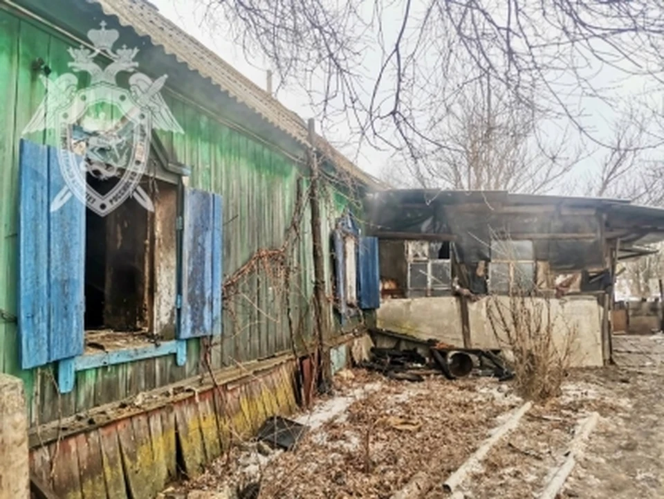 Фото: СУ СК по Саратовской области